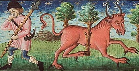 Bonnacon