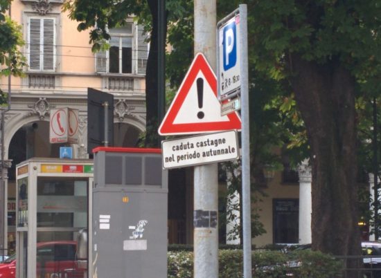 Cose belle. Ho subito immaginato che abbiano messo il cartello dopo che uno aveva denunciato il comune per i danni all'auto e si sarà trovato risposto, con quel calore umano tipicamente piemontese, qualcosa tipo: "Le si è rotto il parabrezza? Se l'è cercata a parcheggiare sotto i castagni. E ora se ne torni in Liguria."