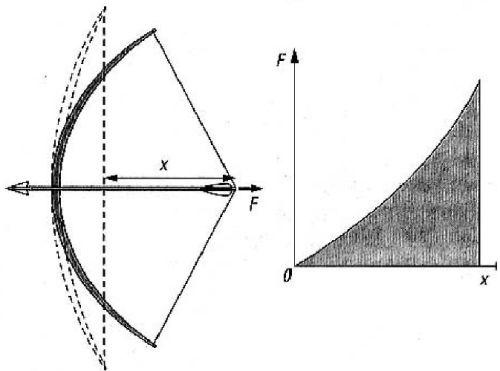 arco grafico forza