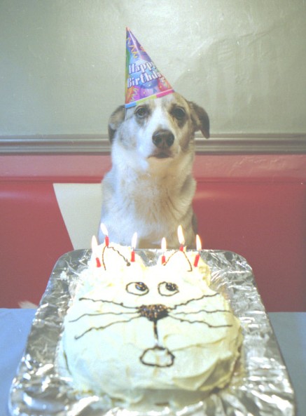 felice compleanno canino