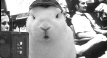 Filmato Rabbit Weird: “Bunnies in Space”
