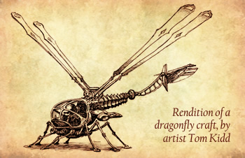 sub-photo-dragonfly