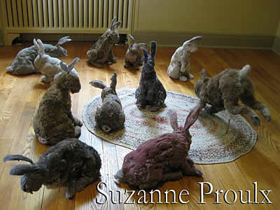 78362_dust-bunnies-web-intro1