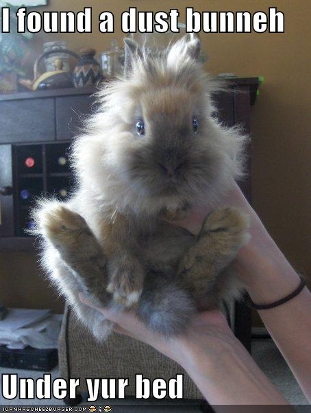 funny-pictures-dust-bunny-under-bed