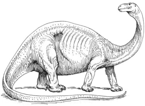 Brontosaurus