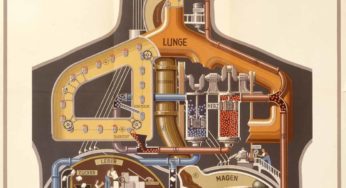 Der Mensch als Industriepalast