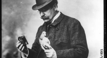 I piccioni fotografi di Neubronner