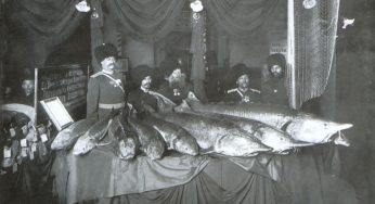 Le Cochon Danseur (1907) e The Acrobatic Fly (1910)