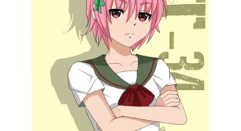 Panzermadels: corteggia un carro armato