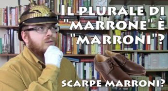 Il plurale di “marrone” è “marroni”?